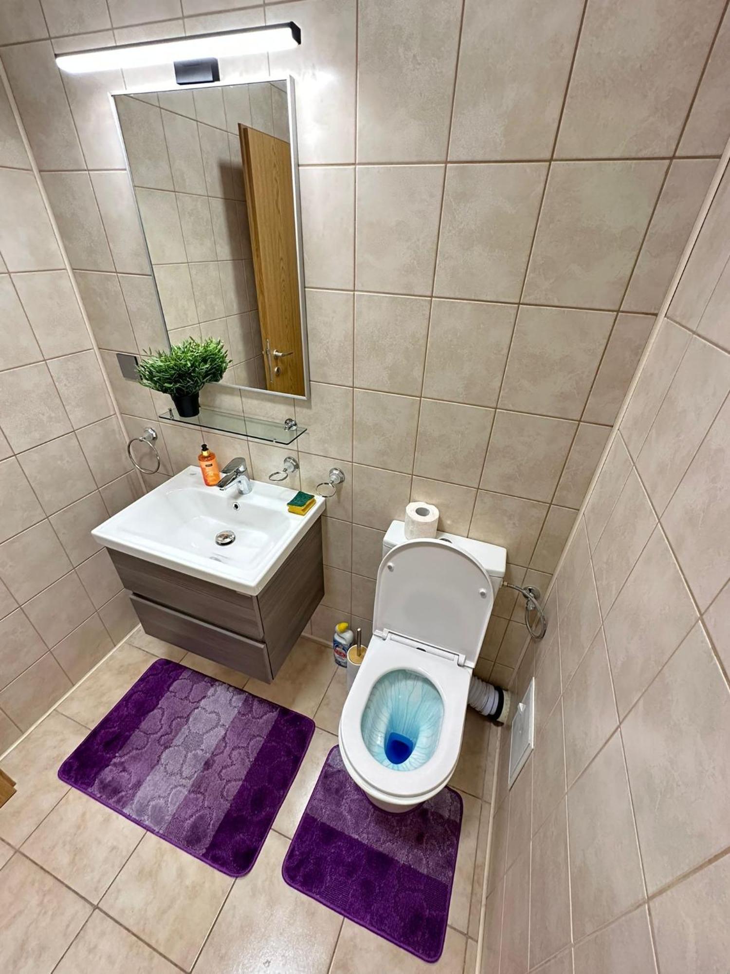 Appartamento Centru Unirii Luxury Vip Palmier Apartament 2 Cu Terasa Exterioara Amenajata ! Parcare Subterana Privata Climatizata Si Supravegheata Video Dar Doar Cu Rezervare In Limita Locurilor Disponibile !proprietate In Regim Hoteliep - Nu Are Bucatarie Bucarest