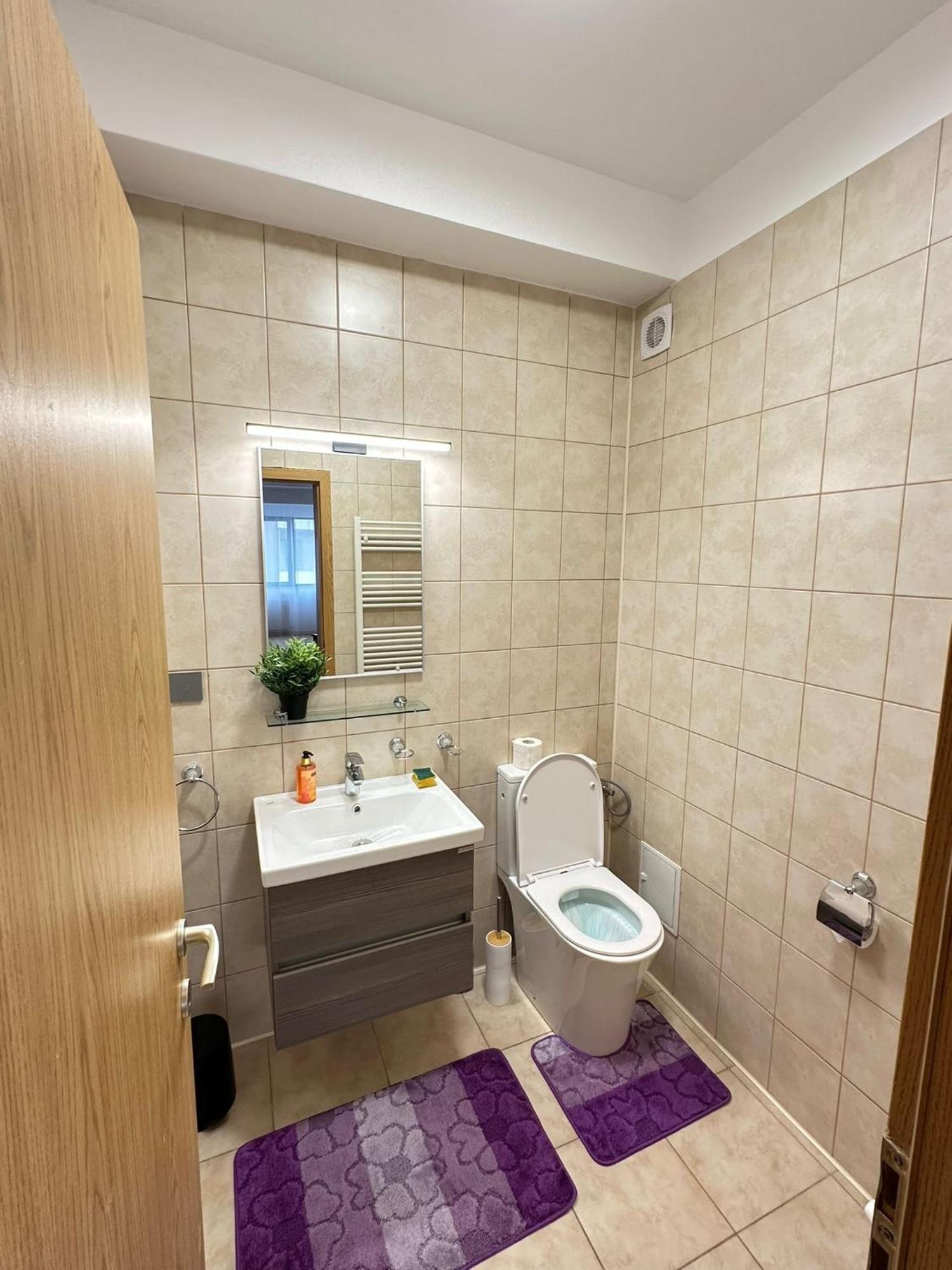 Centru Unirii Luxury Vip Palmier Apartament 2 Cu Terasa Exterioara Amenajata ! Parcare Subterana Privata Climatizata Si Supravegheata Video Dar Doar Cu Rezervare In Limita Locurilor Disponibile !proprietate In Regim Hoteliep - Nu Are Bucatarie Appartamento Bucarest
